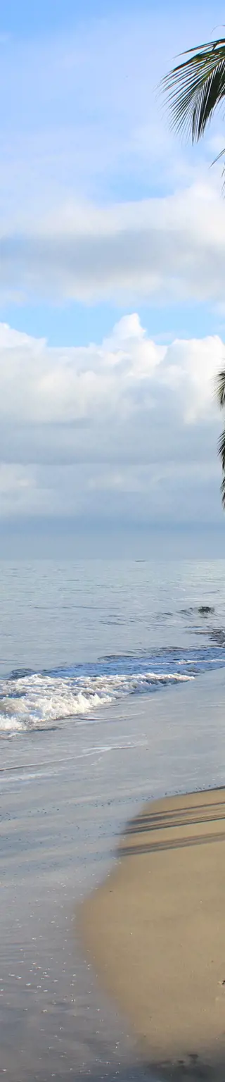 Komme in Puerto Viejo in Karibik-Stimmung